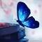 Blue Butterfly Background - PNG gratuit GIF animé