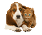 pies i kot... - Animovaný GIF zadarmo animovaný GIF