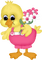 duck by nataliplus - png gratis GIF animado
