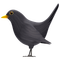 Black bird emoji - zadarmo png animovaný GIF
