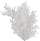 winter-plant-white-deco-minou52 - PNG gratuit GIF animé