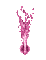 fet rose pink - Darmowy animowany GIF animowany gif