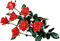 rosas-l - PNG gratuit GIF animé