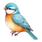 uccellino azzurro - kostenlos png Animiertes GIF