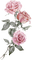 Drei Rosen, rosa - png gratis GIF animado