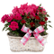 Kaz_Creations Flowers Plant Deco Vase - PNG gratuit GIF animé