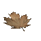leaves autumn gif feuilles automne gif