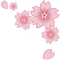 Coin corner sakura fleur rose pink flower - PNG gratuit GIF animé