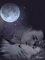 Luna - 無料のアニメーション GIF アニメーションGIF
