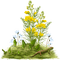 Flores - gratis png animeret GIF