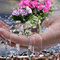 HAND WITH WATER AND ROSES - Darmowy animowany GIF animowany gif