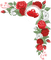 rose border Bb2 - бесплатно png анимированный гифка