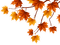 Hojas de otoño - nemokama png animuotas GIF