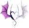 Y.A.M._Fantasy dragons - 免费PNG 动画 GIF