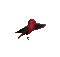 Red Bird Finch Animated