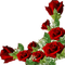 Red roses - PNG gratuit GIF animé