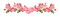 Flowers pink bp - ilmainen png animoitu GIF