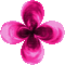 kwiat - Nemokamas animacinis gif animuotas GIF
