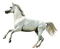 maj cheval blanc - darmowe png animowany gif