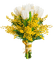 mimosa tulips bouquet flowers sunshine3 - Zdarma animovaný GIF