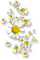 soave deco flowers daisy white yellow - PNG gratuit GIF animé