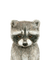 raccoon - png grátis Gif Animado