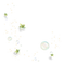 Green flowers bubbles deco [Basilslament] - GIF animé gratuit