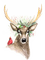 loly33  cerf noël - Free PNG Animated GIF