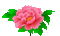 flowers - 無料のアニメーション GIF アニメーションGIF