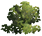 Дерева - Бесплатный анимированный гифка анимированный гифка