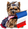 14 Juillet des chiens - darmowe png animowany gif