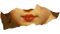 ripped painting lips - PNG gratuit GIF animé