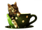 dolceluna spring cat vintage deco cup brown green - Free PNG Animated GIF