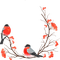 Christmas birds bp - zdarma png animovaný GIF