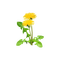 kikkapink deco scrap flowers yellow - PNG gratuit GIF animé