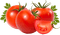 tomaten milla1959 - PNG gratuit GIF animé