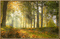 Forest/Foret_PAYSAGE-LANDSCAPE_autumn_BLUE DREAM 70 - Darmowy animowany GIF animowany gif