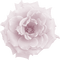 Kathleen Reynolds  Pink Deco Flower - png gratis GIF animasi
