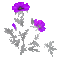 soave deco flowers spring branch animated - GIF เคลื่อนไหวฟรี GIF แบบเคลื่อนไหว