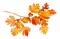 autumn deco by nataliplus