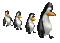 pingouin - GIF animado gratis GIF animado
