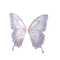 Fairy Wings - zadarmo png animovaný GIF