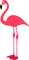 Kaz_Creations Flamingo - nemokama png animuotas GIF