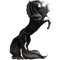chantalmi  cheval noir - png gratis GIF animasi