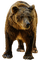 animal-bear-deco