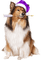 Kaz_Creations Christmas Dog Pup Dogs Colours - PNG gratuit GIF animé