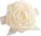 Kaz_Creations Deco Flowers Roses Flower