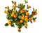 orange milla1959 - Free PNG Animated GIF