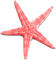 soave deco summer scrap starfish pink - png gratuito GIF animata