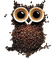 owl - nemokama png animuotas GIF